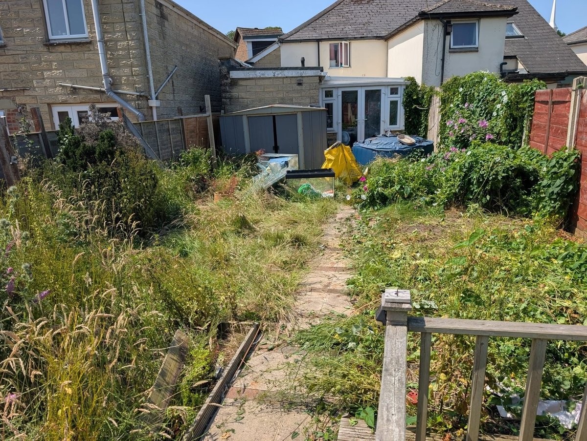 Overgrown residential garden with scattered outbuildings, dense vegetation, and weathered wooden fence bordering the unkempt yard